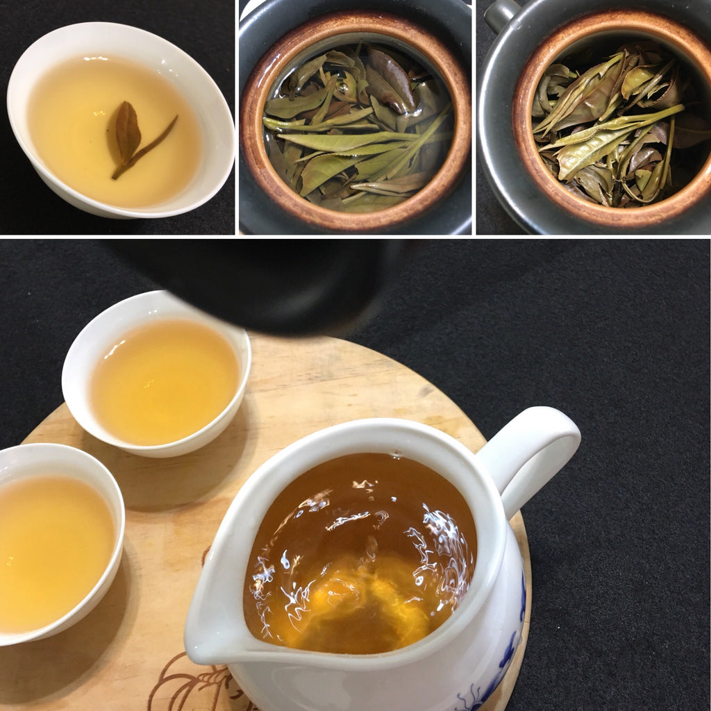 4 Notes of Tea Drinking